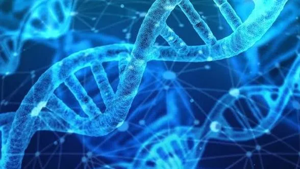 Nucleic Acid